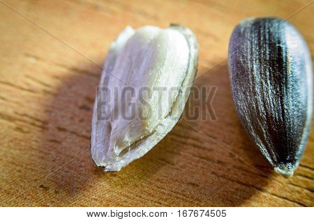sunflower seeds whole and peeled in macrophotography