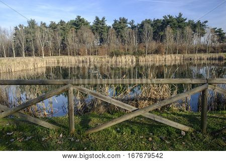 Brianza (Lombardy Italy): the little lake into the Park of Grugnotorto at december