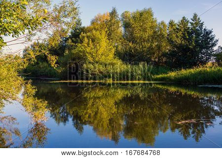 River overgrown trees in a Central Russia