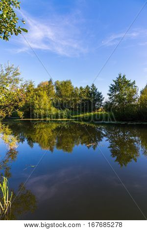 A River with trees on the shore