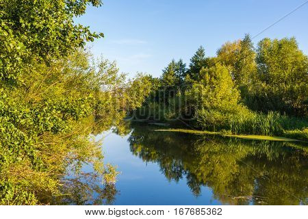 A River with trees on the shore