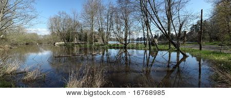 Un Panorama di stagno In Fairview o.