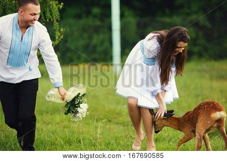 Little Deer Strokes Bride's Lef While She Walks Across The Field With A Groom