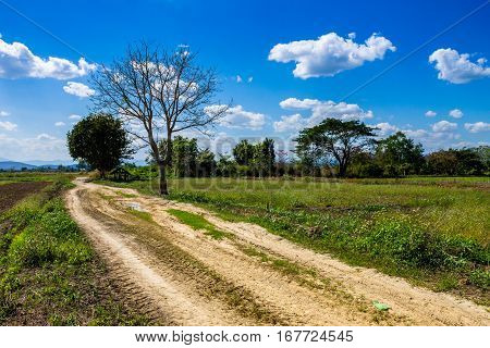 Countrylife In Chiang Mai