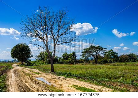 Countrylife In Chiang Mai