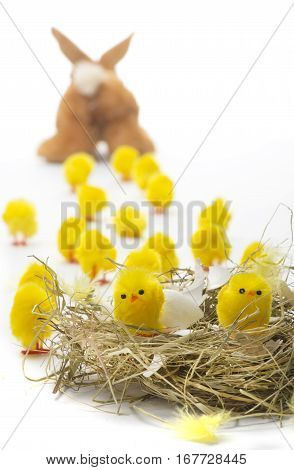 Bunny and chick at Easter easter eggshell