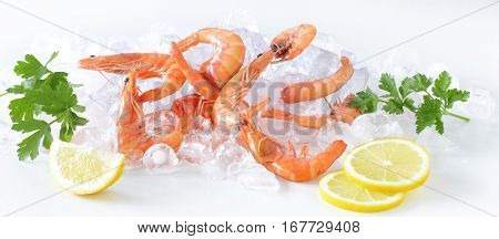 Tiger Shrimp on Ice food delicious eat