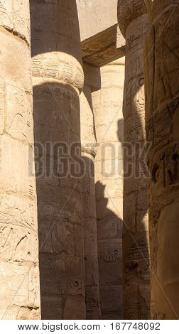 Engravings on columns in ancient temple of Egypt
