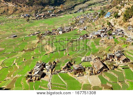 Dogadi village with terraced rice or paddy field - beautiful village in Western Nepal