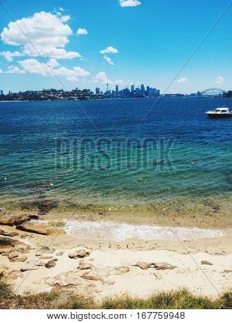 Australia Sydney main city with the harbour in front 1