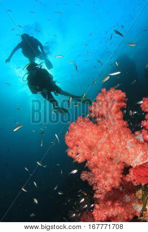 Scuba dive coral reef