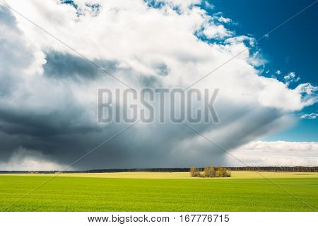 Countryside Rural Field Or Meadow Landscape With Green Grass Under Scenic Spring Blue Dramatic Sky With White Fluffy Clouds. Rain Clouds On Horizon On A Sunny Day. Panorama Of Agricultural Landscape.