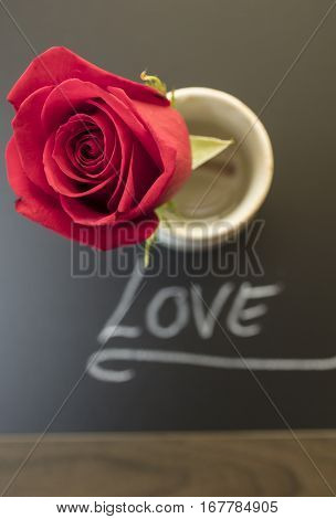 One Red Rose in a cup for Mother's Day or Valentine's as a loving gift