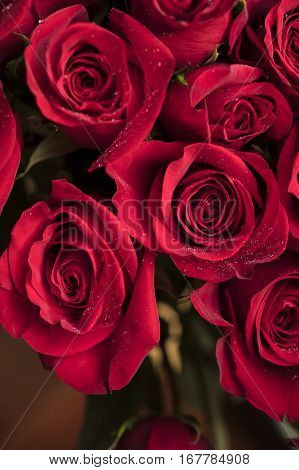 Bouquet of Red Roses for Mother's Day or Valentine's as a loving gift