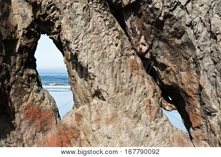 close view of rock with holes in Ruby Beach of Olympic National Park Washington State USA