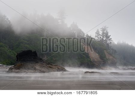 scenic view of Ruby Beach with dense fog Olympic National ParkWashington State USA