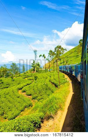 Sri Lanka Tea Plantation Hill Country Train Ride V