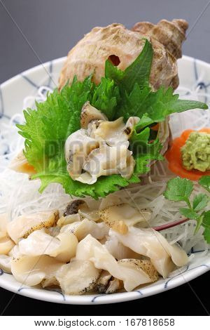 tsubu gai sashimi, japanese whelk sashimi