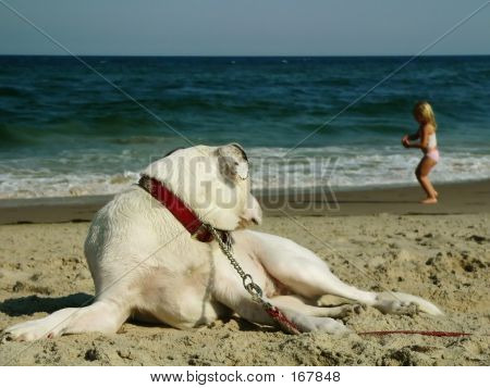 Gerade Mädchen Lieblingshund