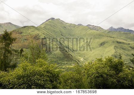 Grassland in Sichuan of balangshan , China