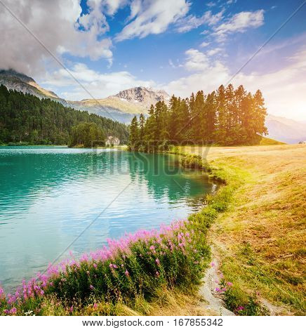 Great view of the azure pond Champfer in alpine valley. Picturesque and gorgeous scene. Location Swiss alps, Silvaplana village. Europe. Retro and vintage style. Instagram toning effect. Beauty world.