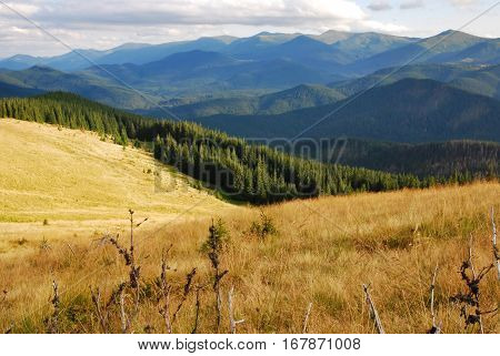 Sunny autumn meadow on mountainside Kukul, Carpathian, Ukraine