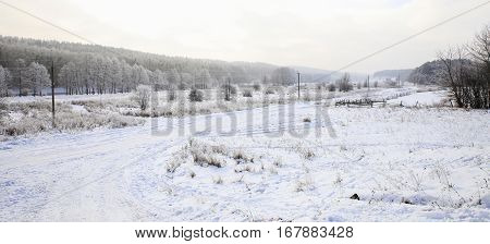 Nature In Winter