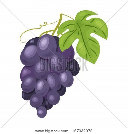 Bunch of grapes icon in cartoon design isolated on white background. Wine production symbol stock vector illustration.