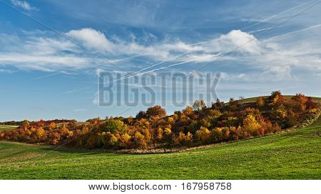 autumn forest among the meadow under blue skies