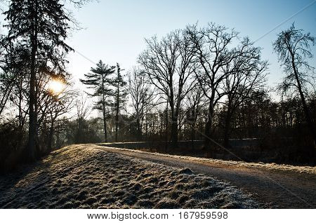 Sunrise in the winter. Frosted edge of the path.