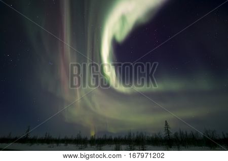 Polar lights. Aurora. Was shot in Noviy Urengoy.
