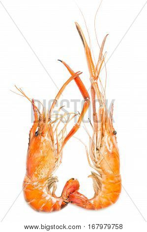 Grilled giant freshwater prawn isolated on white background