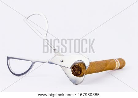 Object Photography Of A Cigar And A Cutter