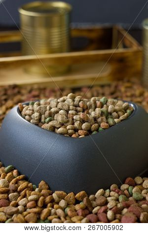 Heart Pet Bowl Filled By Dry Pet Food