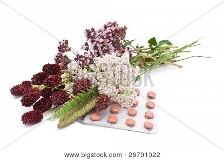 Medicina erval