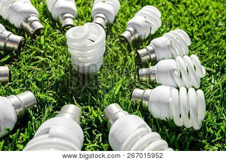 Energy Saving Light Bulbs On Grass Forming Flower. Green Energy Concept