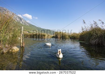 Azmak River, Akyaka, Mugla, Turkey. Nature Composition.