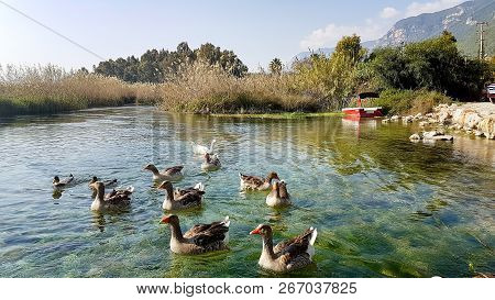 Azmak River, Akyaka, Mugla, Turkey. Nature Composition.