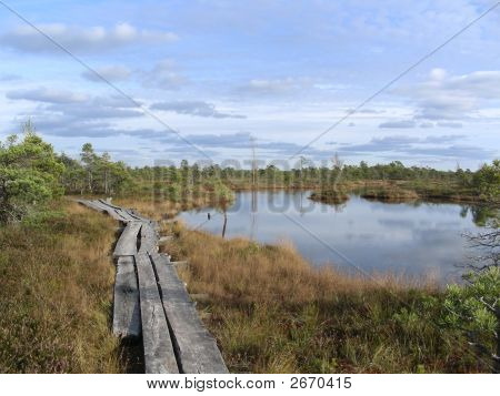 Marsh