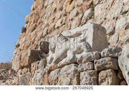 Bas-relief of a lion extruded on a stone in the courtyard of Nimrod Fortress located in Upper Galile