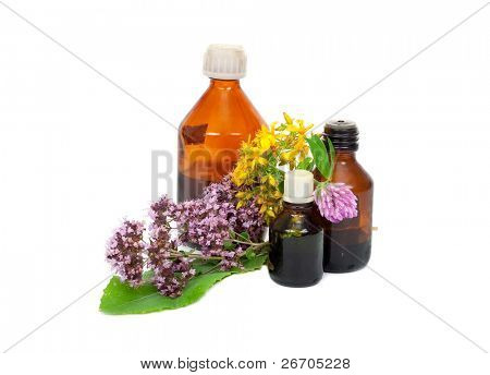 Medicina erval