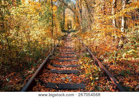 love tunnel in autumn