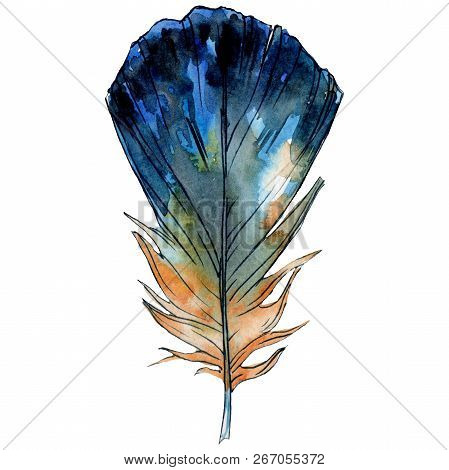 Blue Yellow Feater. Watercolor Bird Feather From Wing Isolated. Aquarelle Feather For Texture. Backg