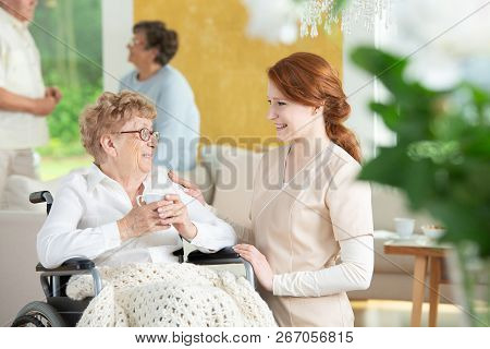 Happy Nurse Talking With Smiling Paralysed Elderly Woman In The Wheelchair