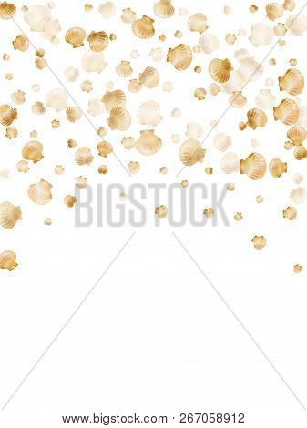 Gold Seashells Vector, Golden Pearl Bivalved Mollusks. Aquatic Scallop, Bivalve Pearl Shell, Marine 