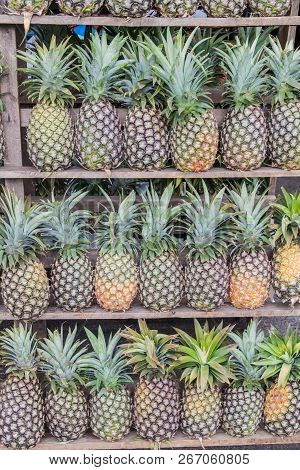 Rows Of Pineapples On A Market In Juayua, El Salvador