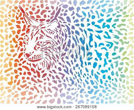 Vector Illustrations Color Background Of Lynx Skin And Head