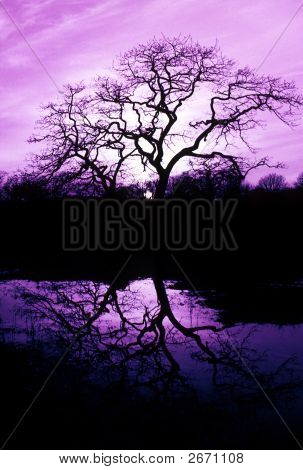 Rétro-éclairage de l'arbre