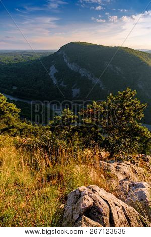 Mount Tammany Trail
