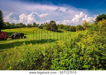 Tractor Summer Farm
